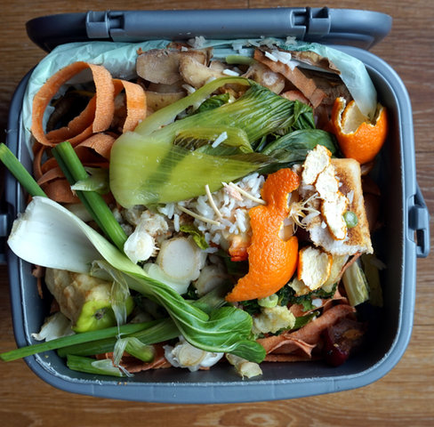 Household Food Waste