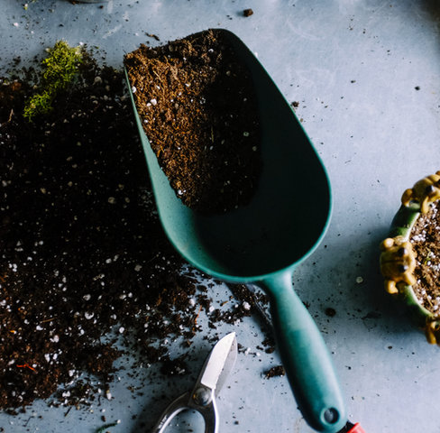 Gardening Tools Scene