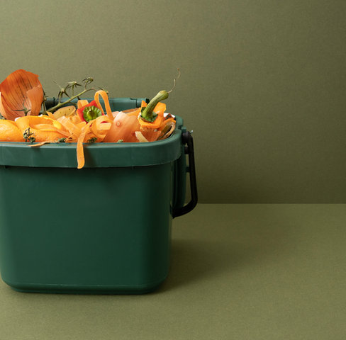 Compost Bin Contents